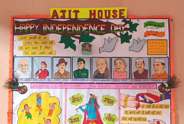 August House Boards