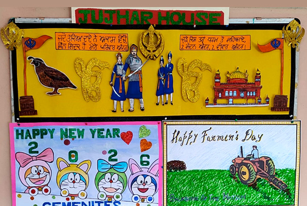 December House Boards