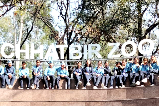 Chhatbir Zoo Pictures